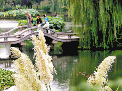 江西宜春500里禅林吸引香港旅游团