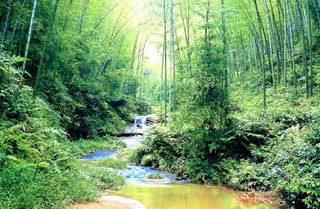 一代高僧德林长老追思法会在扬州高旻寺举行