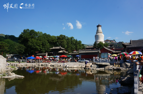 佛教文化与生态旅游