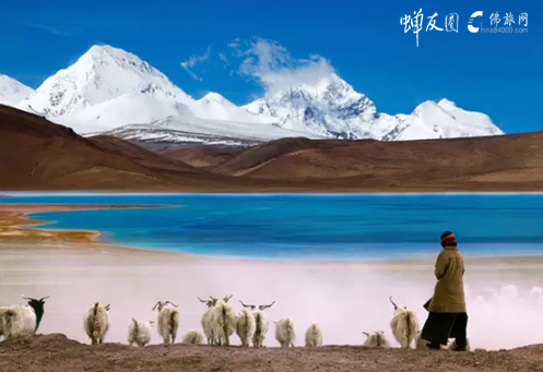 西藏：让旅行的意义不再只是生命的流浪