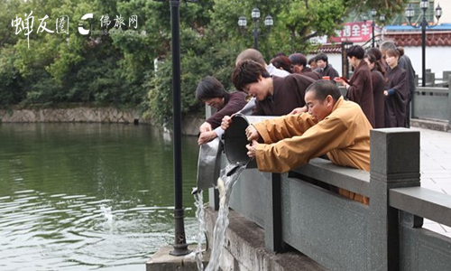 参加寺院放生法会