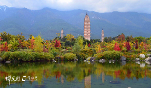 龙8国际娱乐官网网鸡足山游学之旅