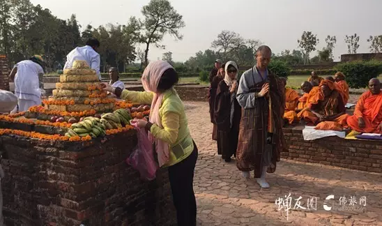 佛旅网印度朝圣之旅