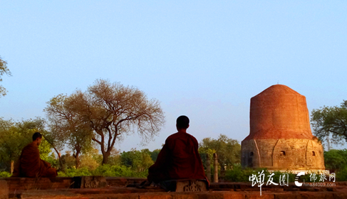 11月8日 蝉友圈首次11天印度朝圣  资深佛旅领队梁总带队  印度尼泊尔朝圣十五大圣地