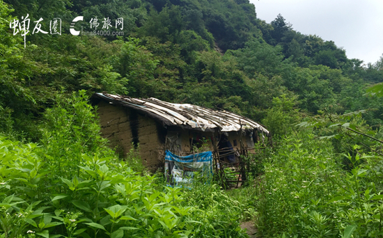 佛旅网终南山朝圣之旅