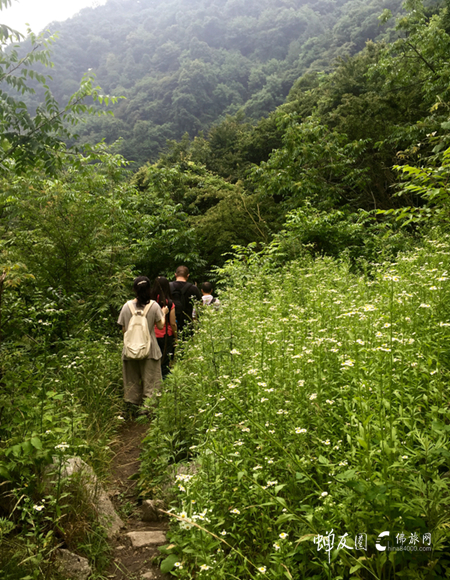 佛旅网终南山朝圣之旅