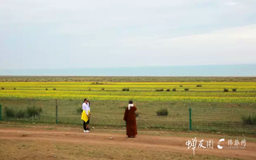 佛旅网西藏朝圣之旅