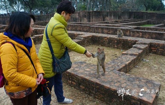 蝉友圈佛旅网