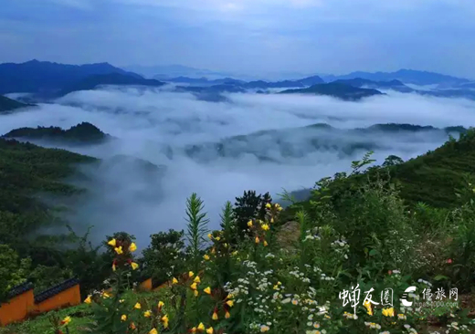 九华山，这里有世界上最美的云海，不信来看！