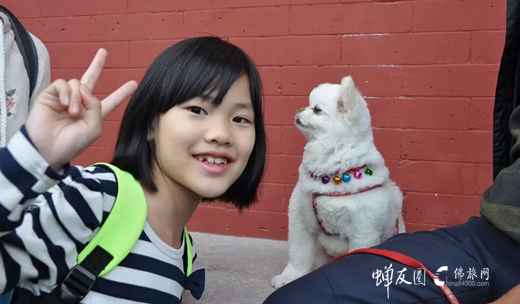 小谢谢的五台山朝圣奇遇记
