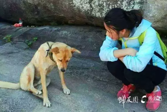 佛旅网普陀山朝圣之旅