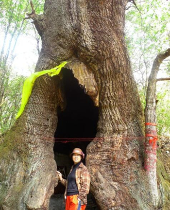 佛旅网鸡足山朝圣之旅