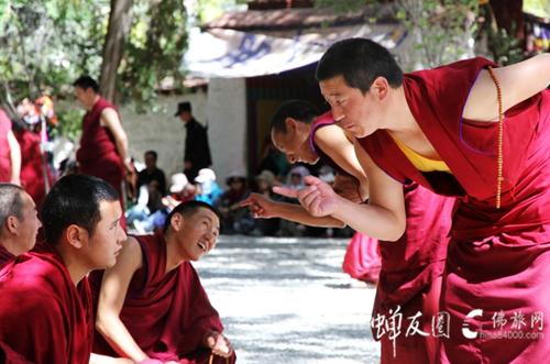 佛旅网西藏游学之旅