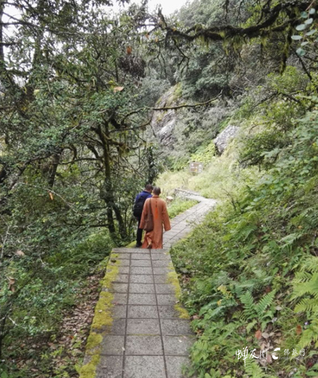 佛旅网鸡足山朝圣之旅