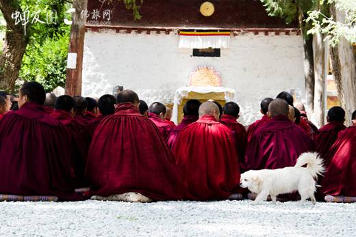 佛旅网西藏游学之旅