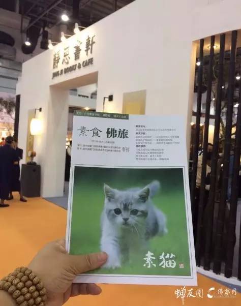 蝉友圈文化