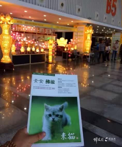 蝉友圈文化