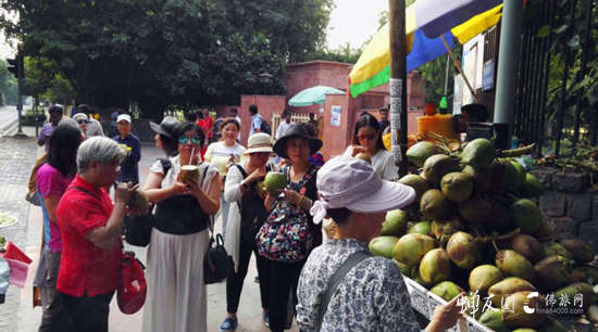 蝉友圈佛旅网印度朝圣之旅