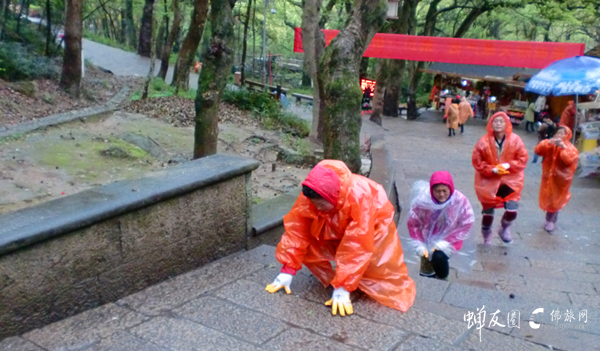 蝉友圈佛旅网普陀山朝圣