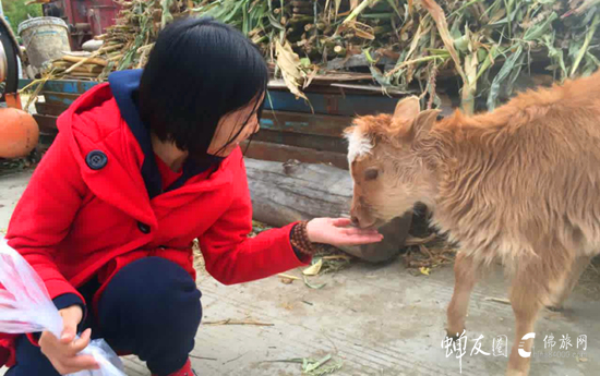 蝉友圈佛旅网西藏游学之旅