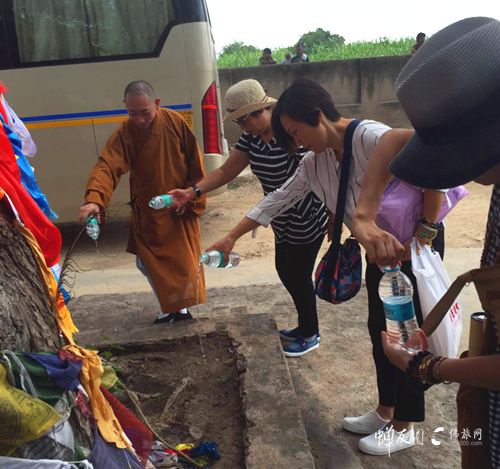 圣地礼佛篇 印度定制之旅