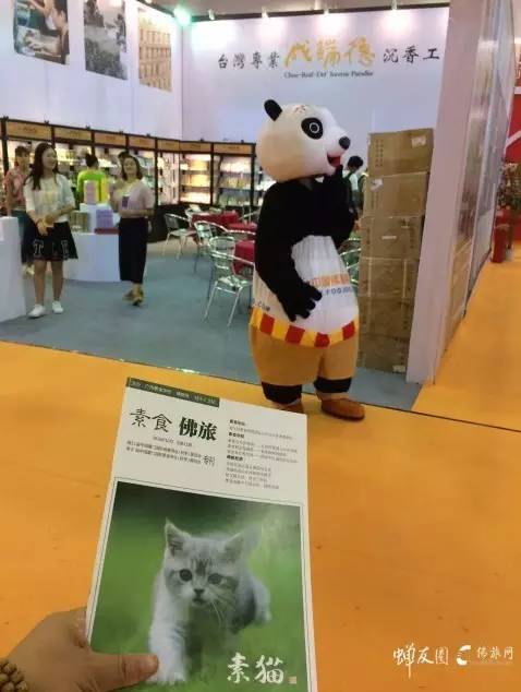 蝉友圈文化