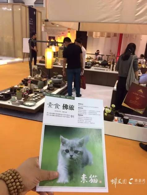 蝉友圈文化