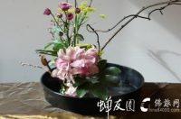 8424055_221809193000_2_副本