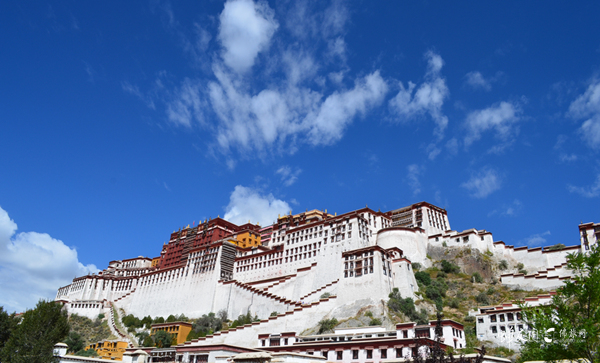 西藏游学之旅