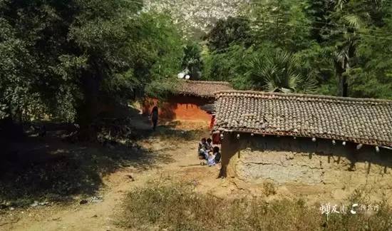 蝉友圈佛旅网印度朝圣之旅