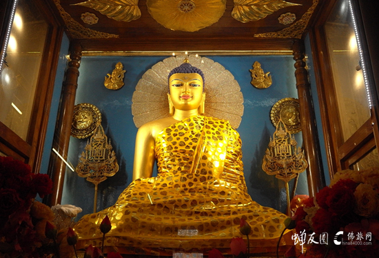 蝉友圈佛旅网印度朝圣之旅