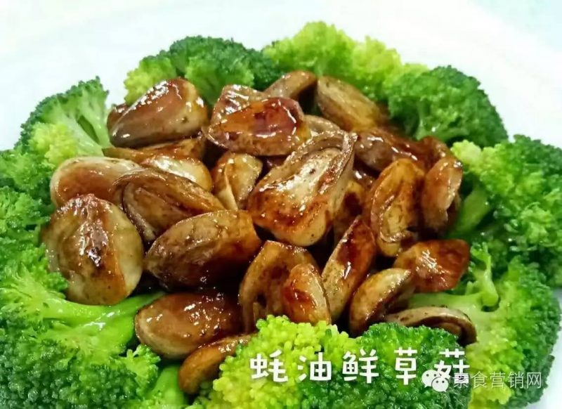 蝉友圈文化