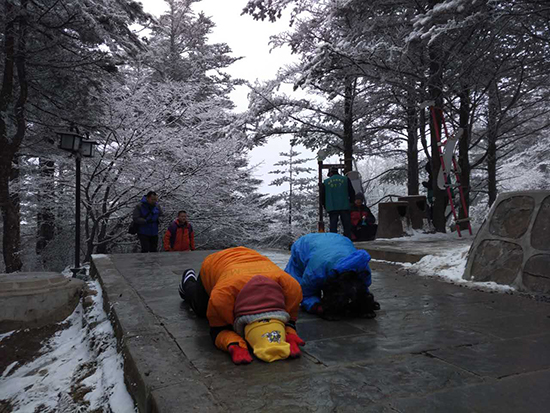 恭迎普贤菩萨圣诞|三步一拜朝金顶 雨雪无阻礼普贤