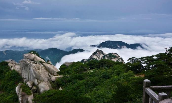 九华山主要药材品种|九华山佛教旅游