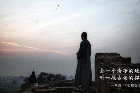 去印度的佛教旅游团 | 蝉友圈佛旅网