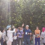 6月16日 端午节·九华山佛教旅游四天*地藏王菩萨*肉身菩萨*大愿孝亲*消业积福*素食旅游*圣地共修朝圣之旅