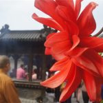 6月16日 端午节·九华山佛教旅游四天*地藏王菩萨*肉身菩萨*大愿孝亲*消业积福*素食旅游*圣地共修朝圣之旅