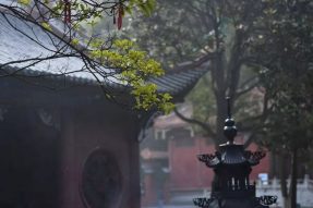 中国佛教协会：关于自觉抵制佛教领域商业化不良影响的通知