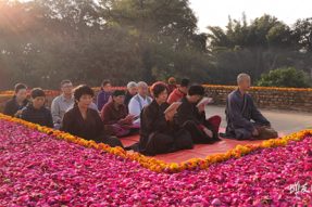 万里朝圣忆佛陀 蝉友圈3月印度朝圣回顾（总）