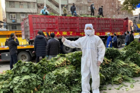 佛子在行动：峨眉山僧众捐助百吨蔬菜运往武汉