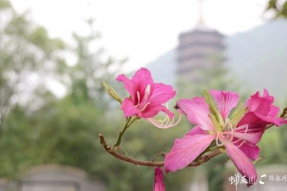 名山古刹别传寺——朝礼研学六祖七大圣迹