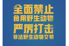 全国人大：全面禁止食用野生动物表决通过