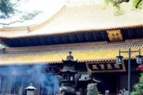 能容万物，普陀山普济寺的松紧神运殿——蝉友圈佛旅网