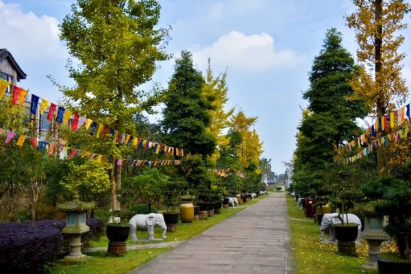 美丽寺院 | 峨眉山大佛禅院