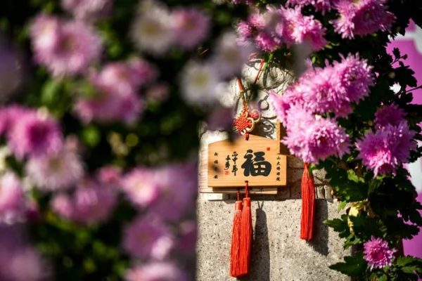 美丽寺院 | 峨眉山大佛禅院