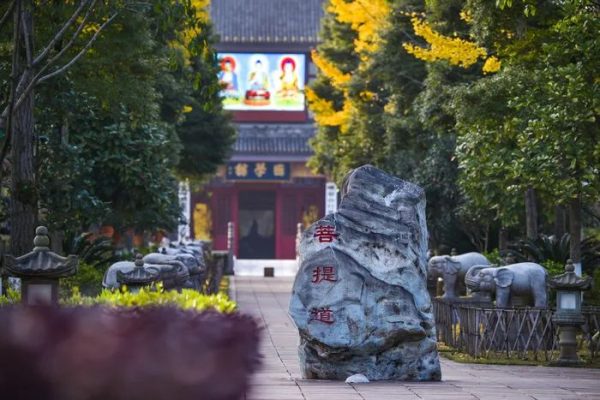 美丽寺院 | 峨眉山大佛禅院