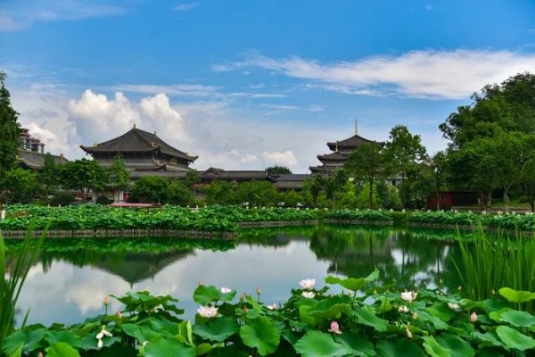 美丽寺院 | 峨眉山大佛禅院