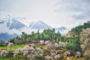 西藏线路：嘎拉村  佛旅网 佛教旅游 佛教圣地 佛旅领队 佛教导游