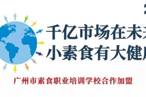 千亿市场在未来，小素食里有大健康，7年科研悲智双运，5项成果掘藏完工，现面对全球城市诚招独家合作