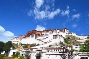 佛旅指导师的市场需求与专业素质要求